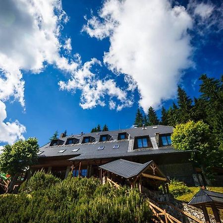 Horsky Hotel Vidly Karlova Studánka Eksteriør bilde