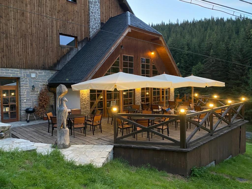 Horsky Hotel Vidly Karlova Studánka Eksteriør bilde