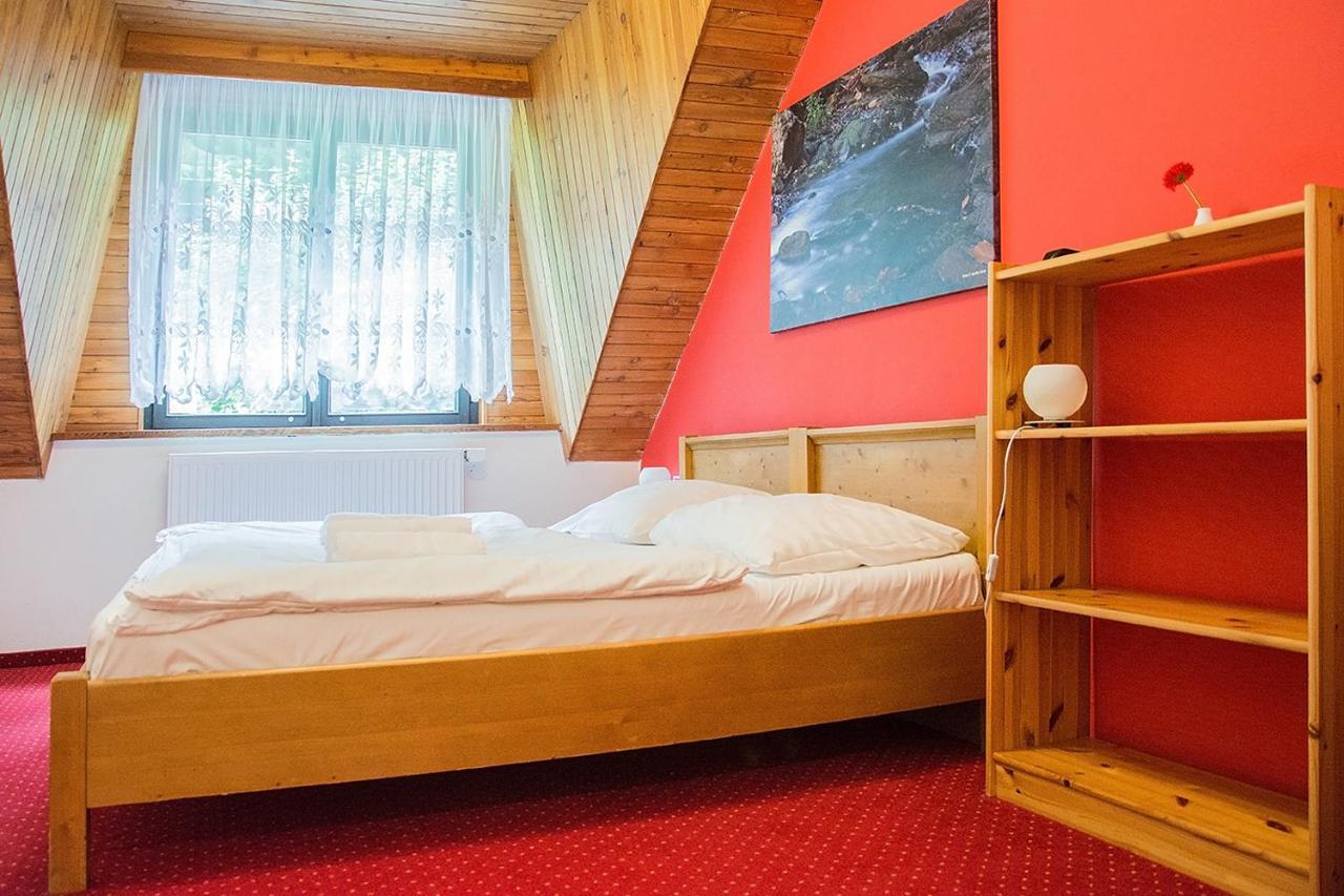 Horsky Hotel Vidly Karlova Studánka Eksteriør bilde