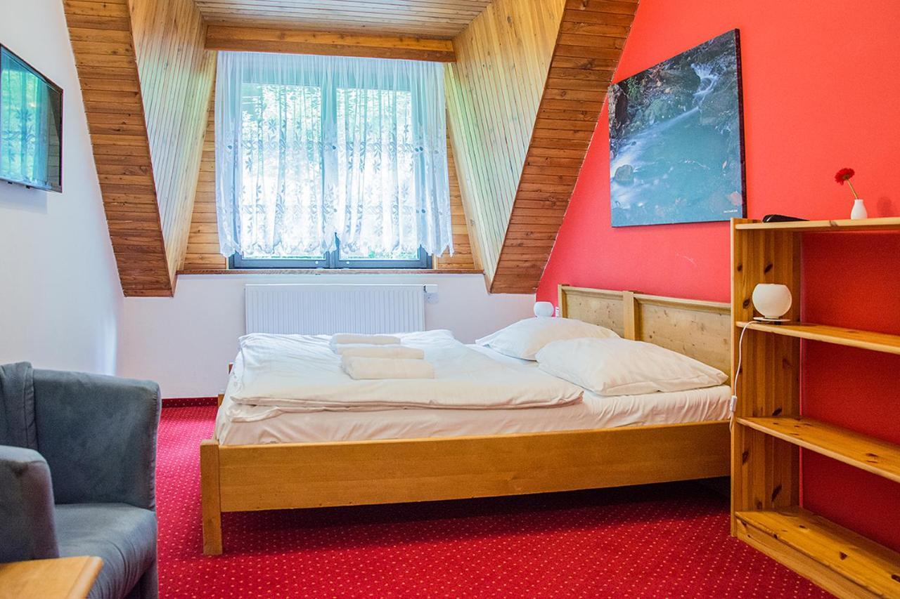 Horsky Hotel Vidly Karlova Studánka Eksteriør bilde