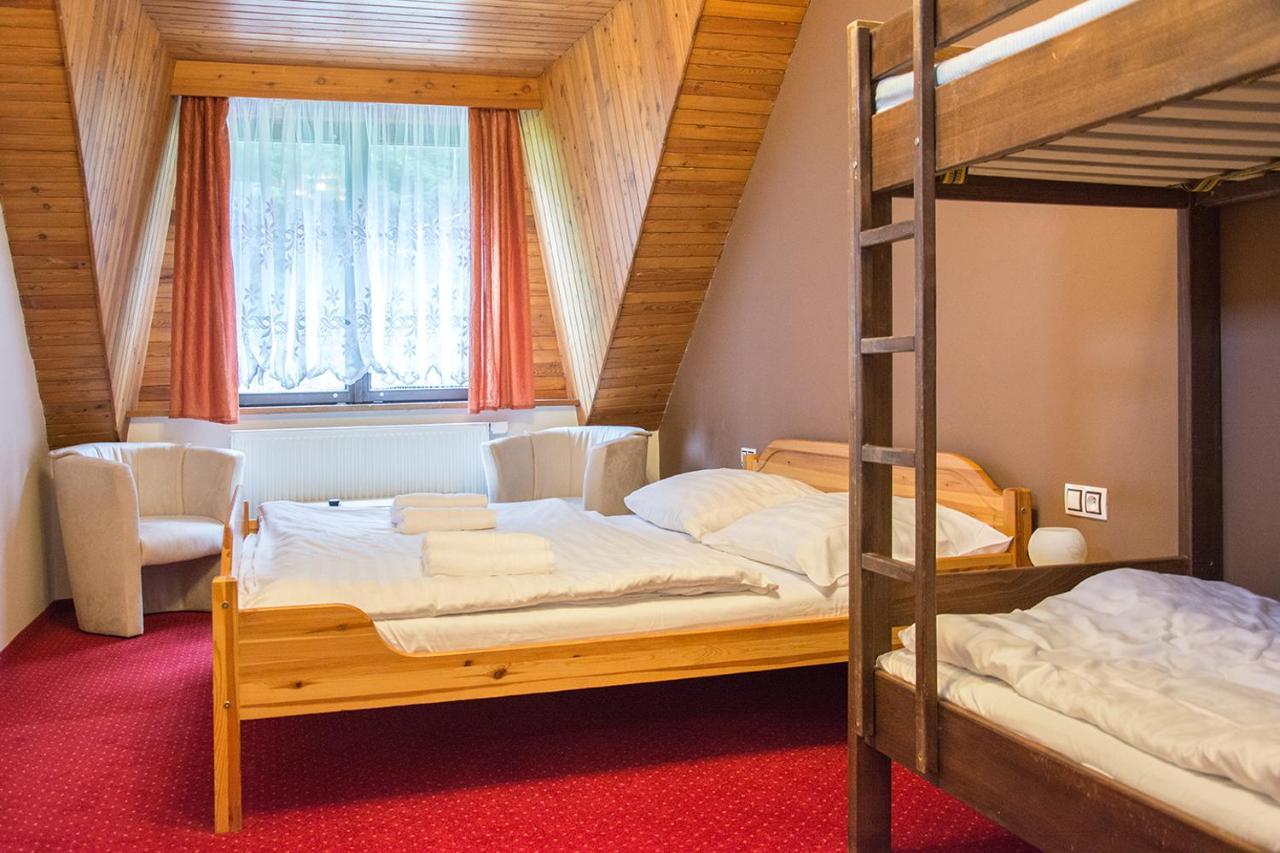 Horsky Hotel Vidly Karlova Studánka Eksteriør bilde
